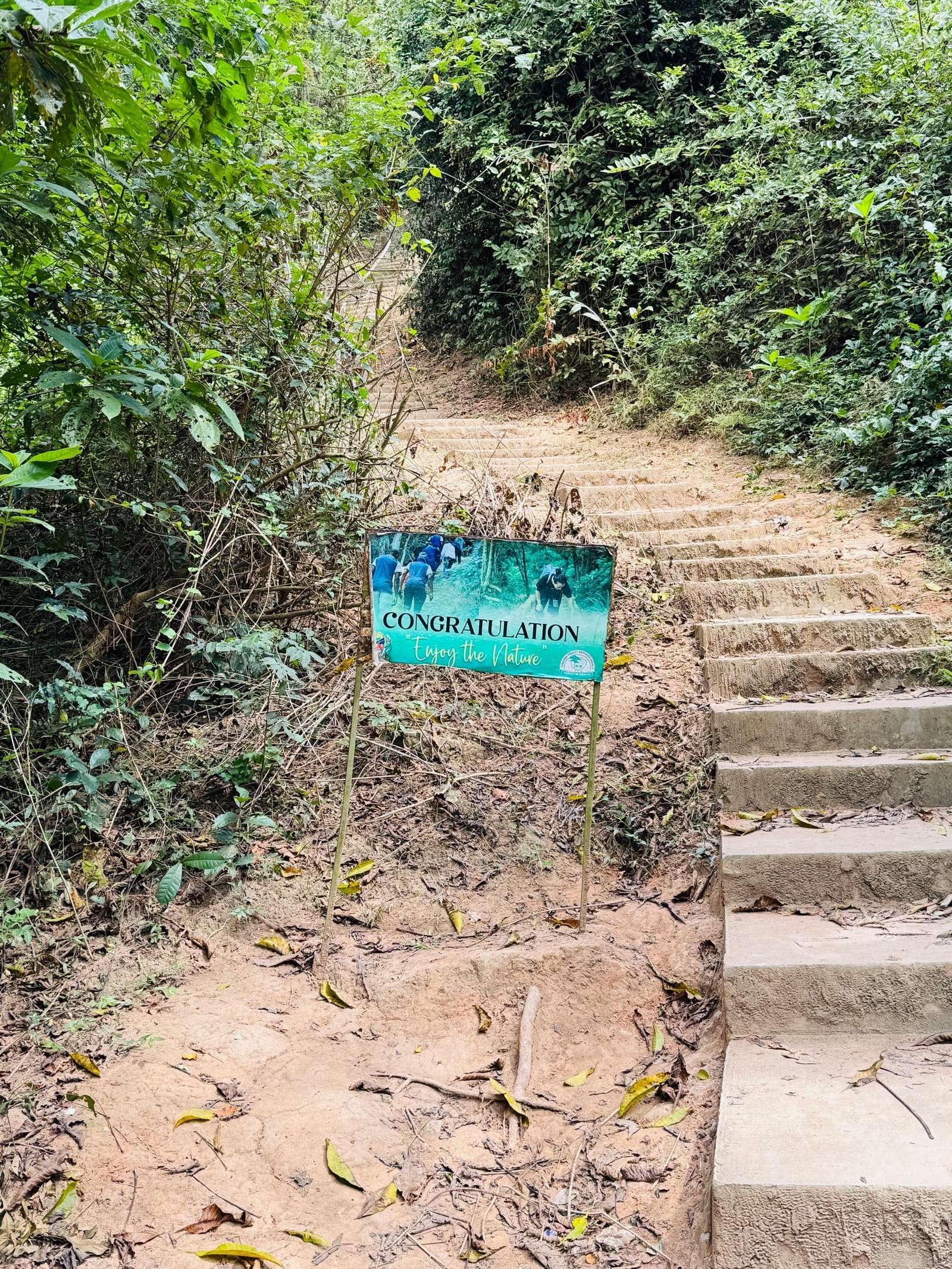 Stone steps on a forest hiking trail with an 'Enjoy the Nature' congratulations sign