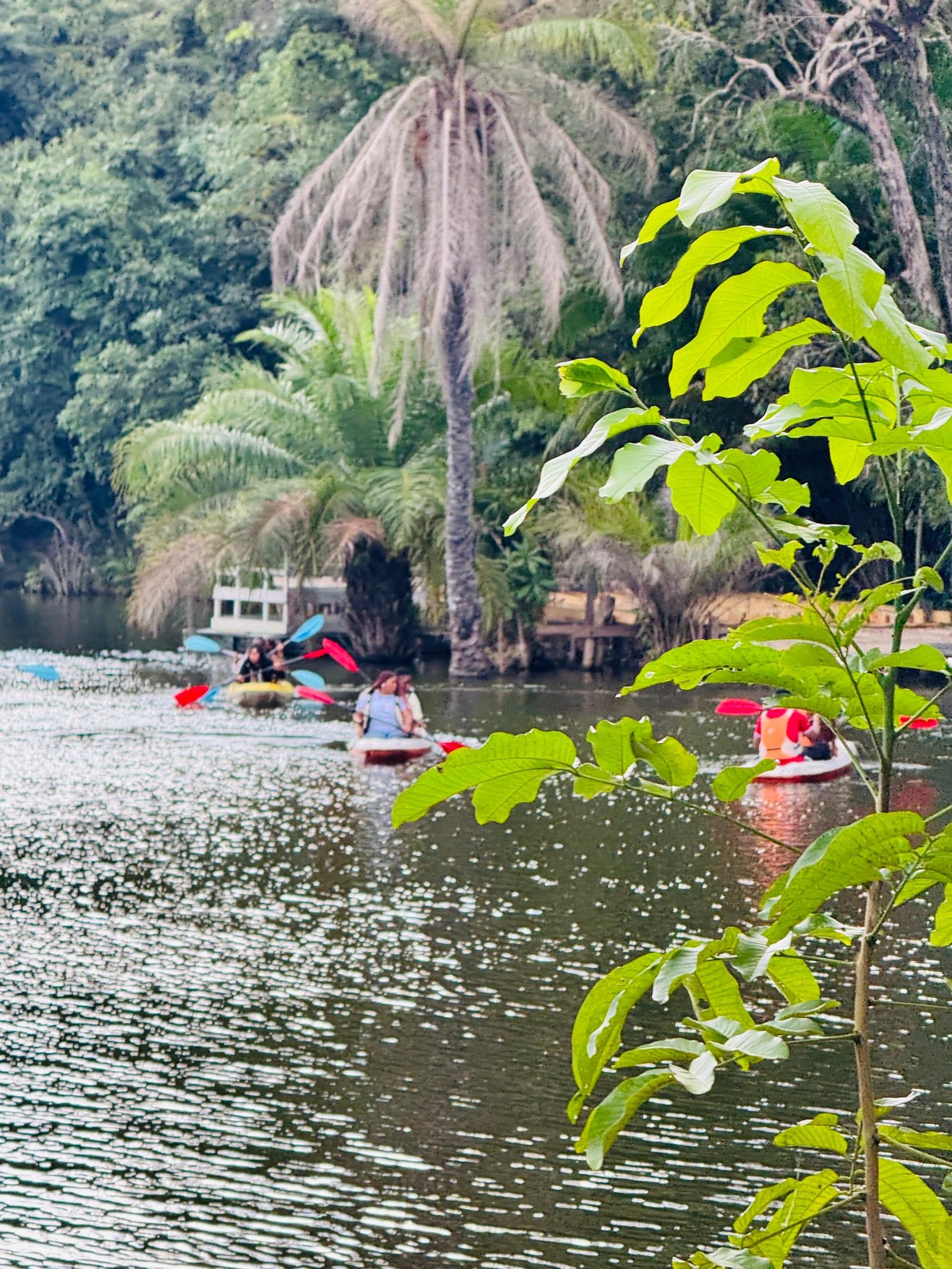 Visitors kayaking on the calm forest pond near a thatched building
