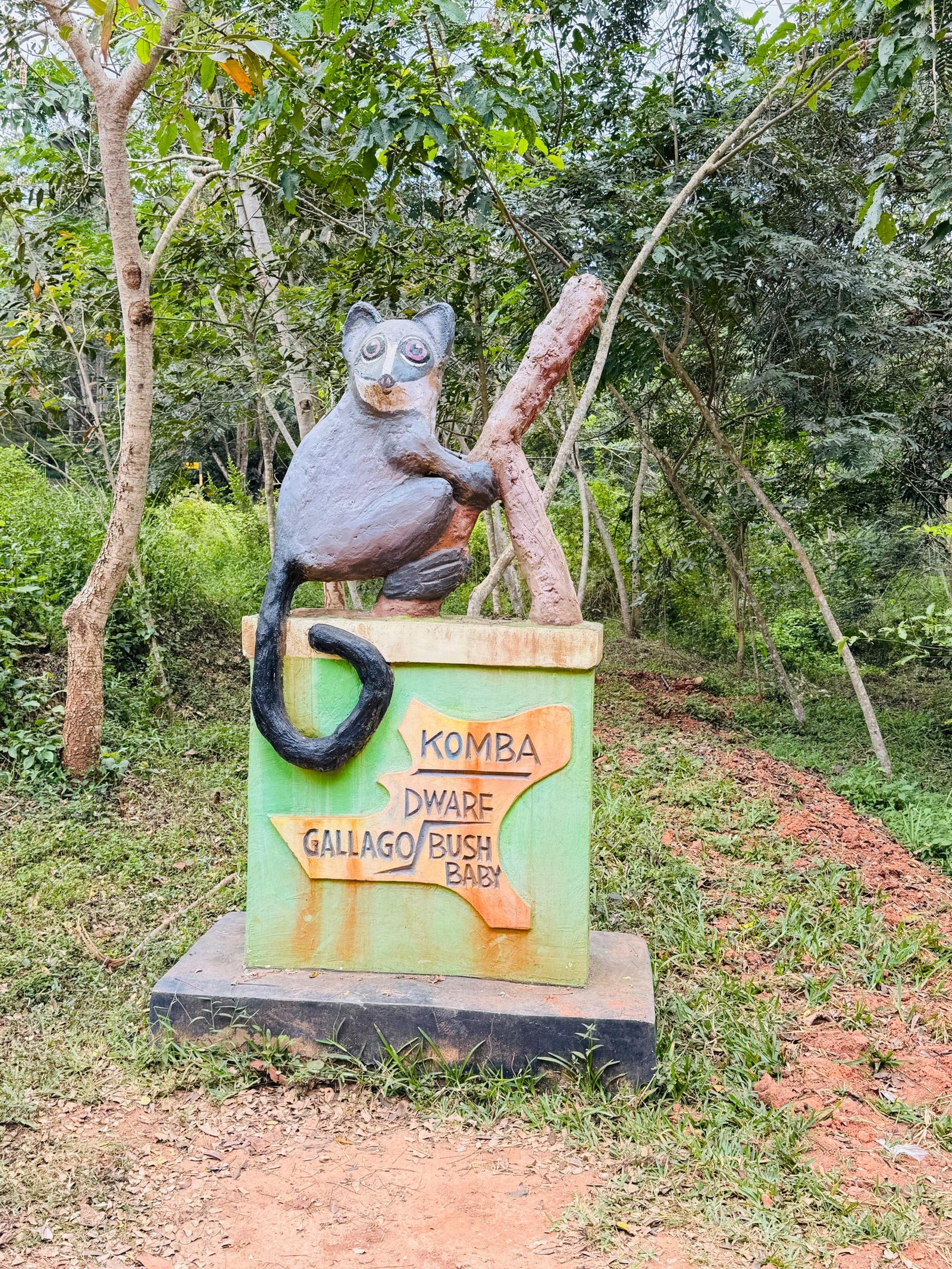 Wooden sculpture of a Komba dwarf bush baby mounted on a forest signpost