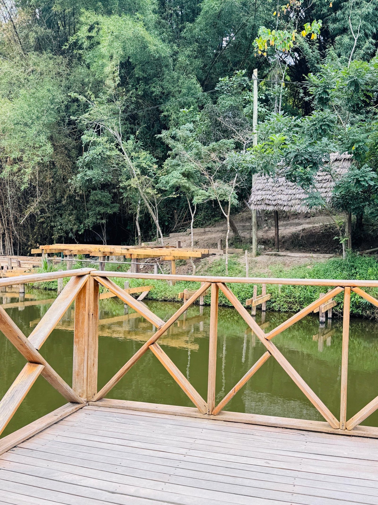 Wooden boardwalk overlooking a calm green pond surrounded by forest and thatched huts